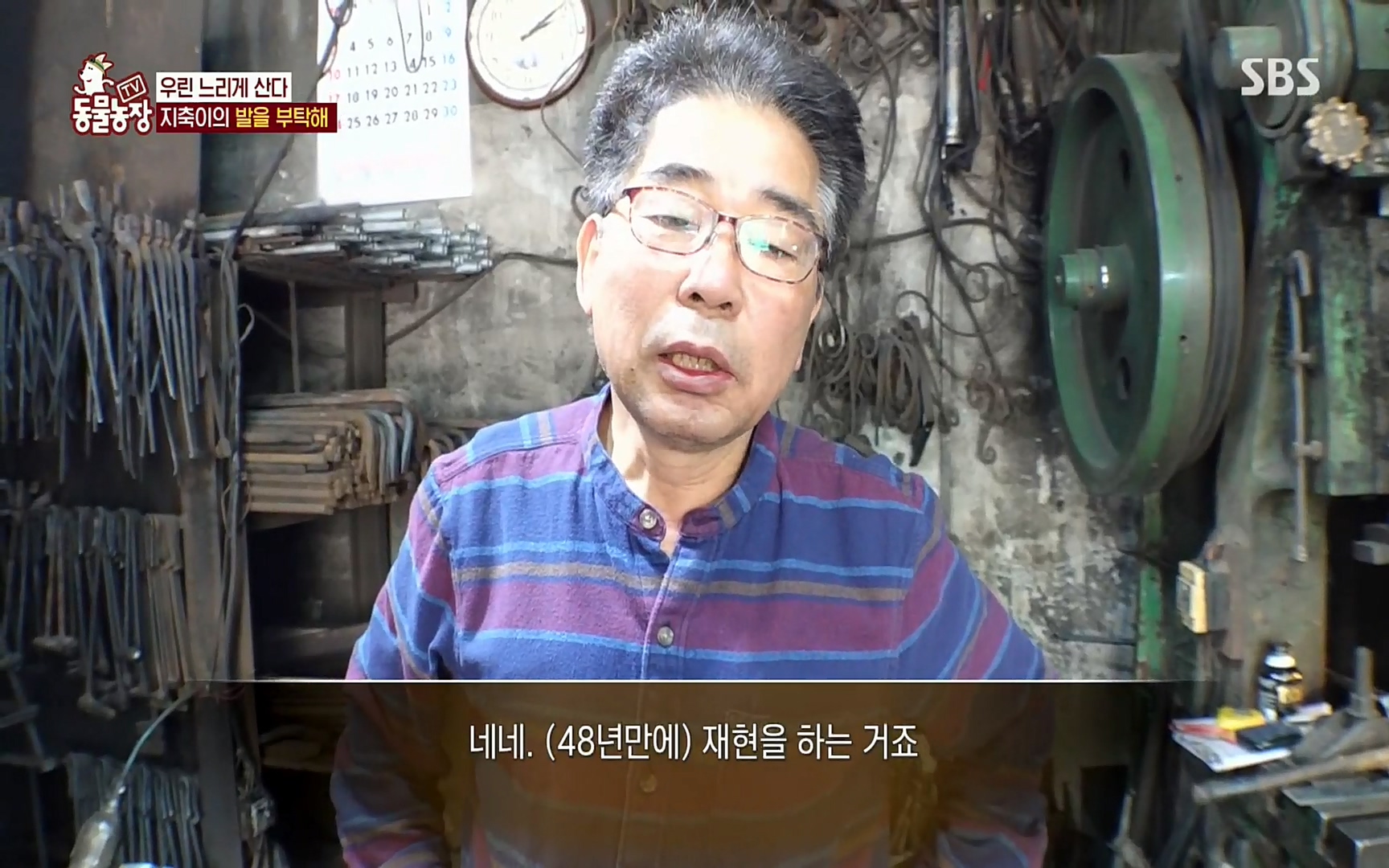 TV 동물농장.E1074.220619p.H264-F1RST.mp4_20220619_181849.326.jpg