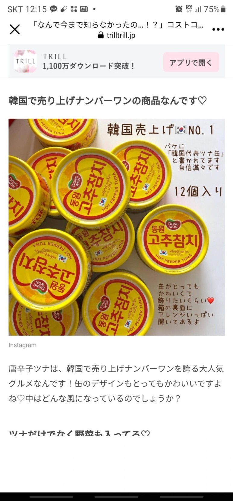  일본으로 건너간 고추참치
