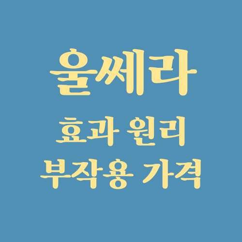  울쎄라 효과 리프팅원리 부작용 시술주기 전후사진 가격