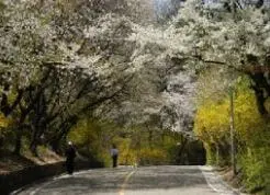 남산공원 - 북우회도로 - 3차