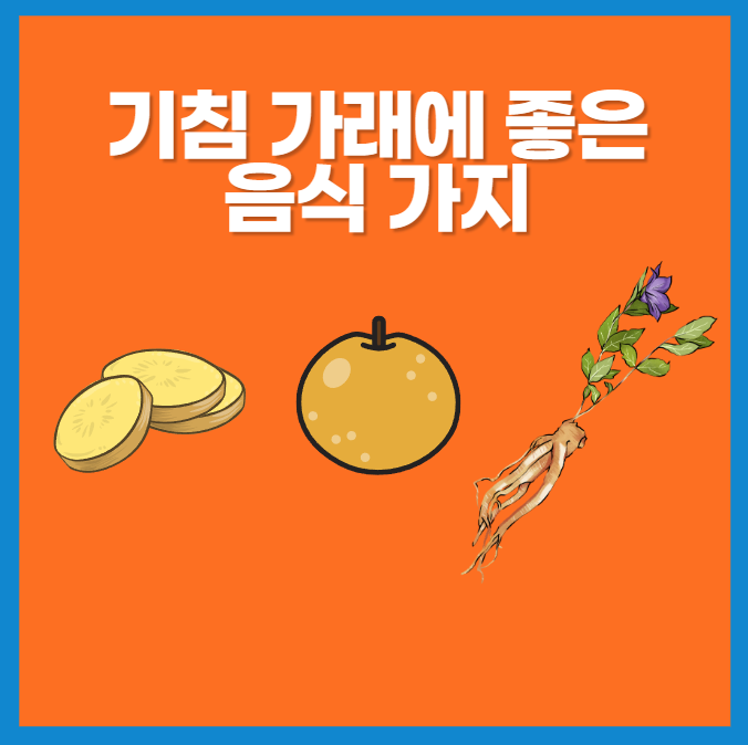 기침 가래에 좋은 음식