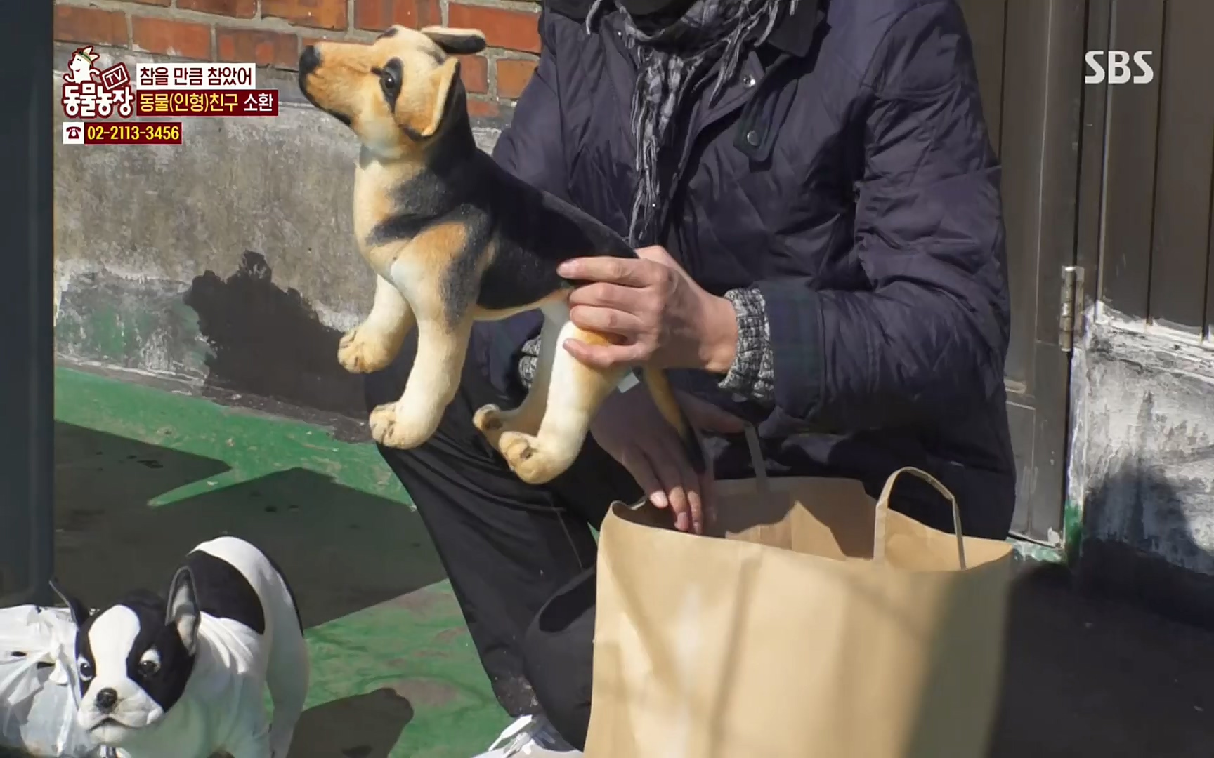 TV 동물농장.E1062.220327p.H264-F1RST.mp4_20220327_174436.125.jpg