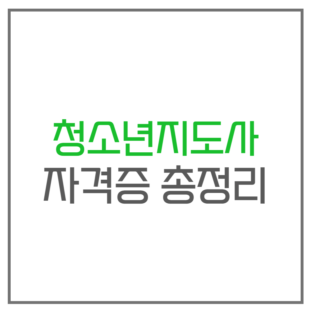 청소년지도사