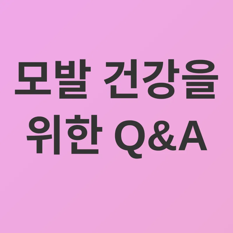 모발 건강_4