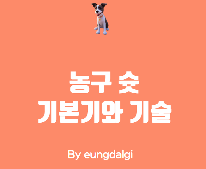  농구 슛: 기본기와 기술 (레이업 / 점프슛 등)