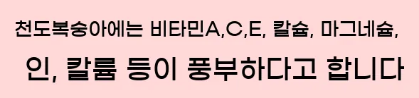  천도복숭아에는 비타민A,C,E, 칼슘, 마그네슘, 인, 칼륨 등이 풍부하다고 합니다