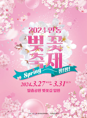 2024 안동 벚꽃축제
