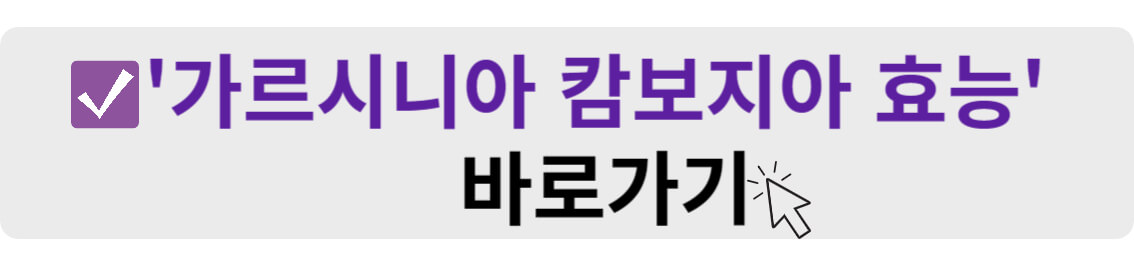 가르시니아 캄보지아 효능 바로가기