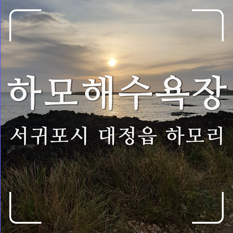  제주도 여행지 [ 하모해수욕장] 예쁜 노을과 일몰 맛집으로 추천하는 곳