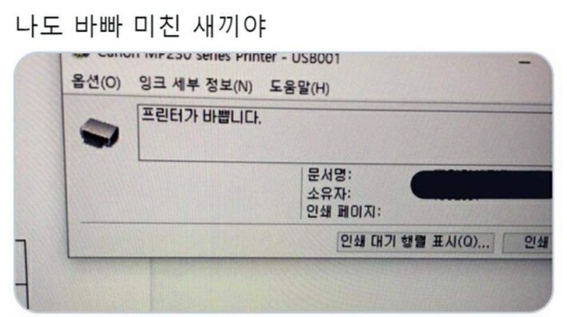  Vue3 프린트 기능을 이용해보자!