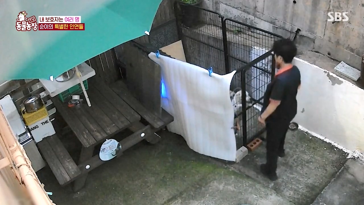 TV 동물농장.E1143.231030p-NEXT.mp4_20231029_162358.105.jpg