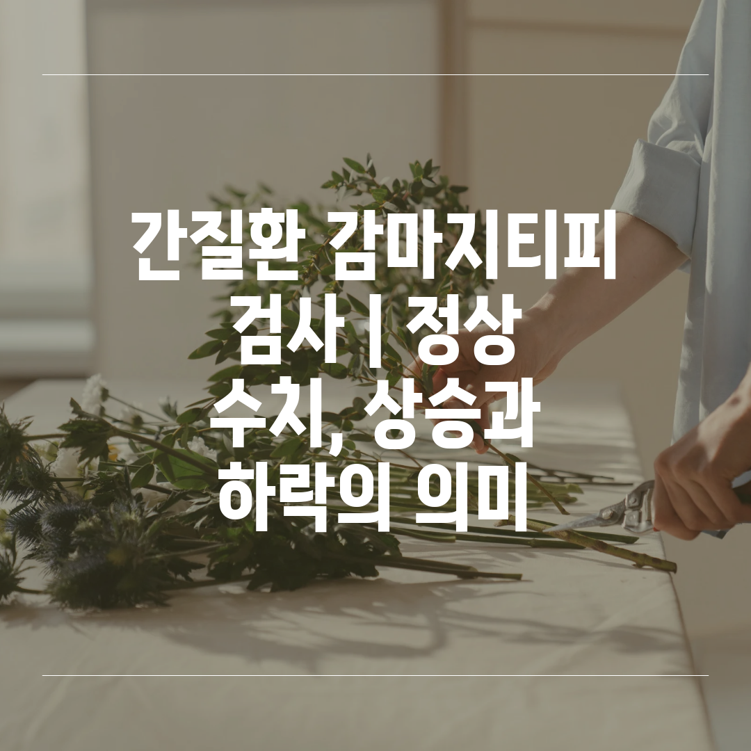 간질환 감마지티피 검사  정상 수치, 상승과 하락의 의