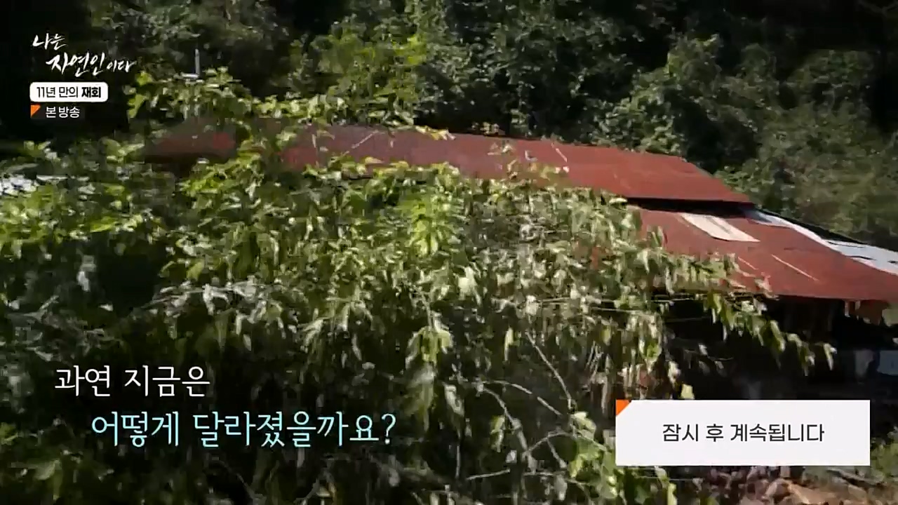 나는 자연인이다.E548.230406p-NEXT.mp4_20230406_195741.635.jpg