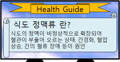 식도 정맥류