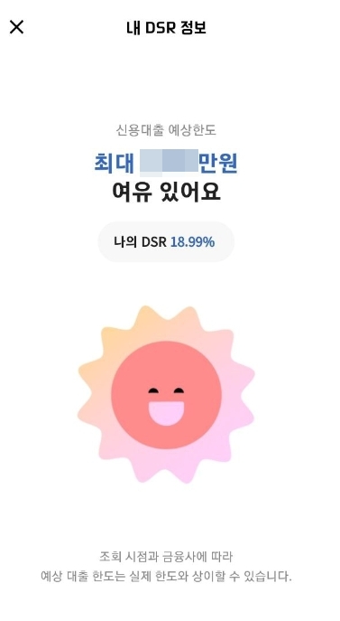 내-DSR-정보-확인