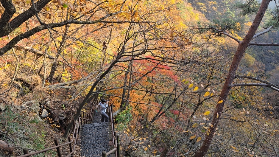 소백산국립공원 희방사코스 이미지
