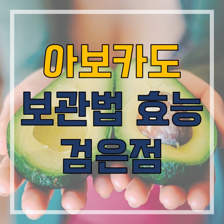  아보카도 보관법 효능 검은점 알아보기
