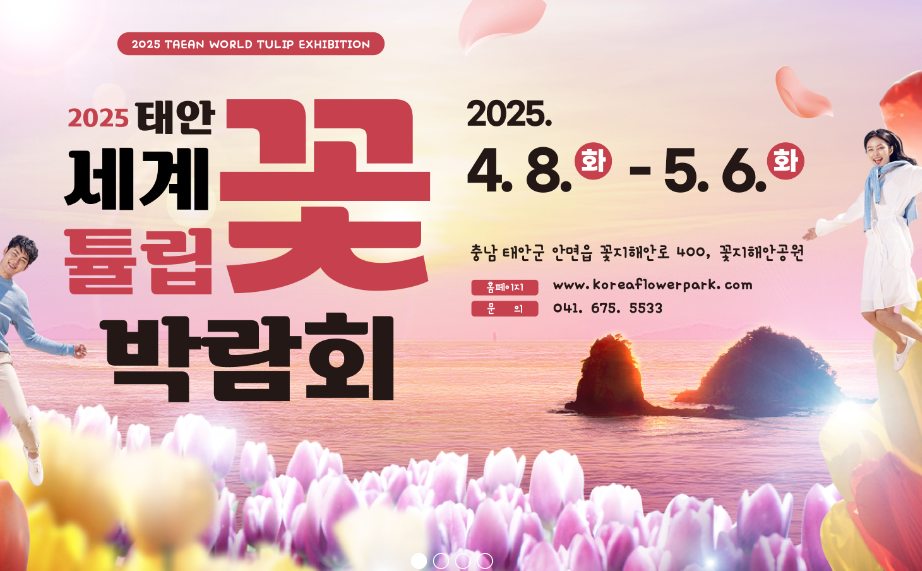 2025 태안 튤립 축제 완벽 가이드 (이미지 = 코리아 플라워파크)