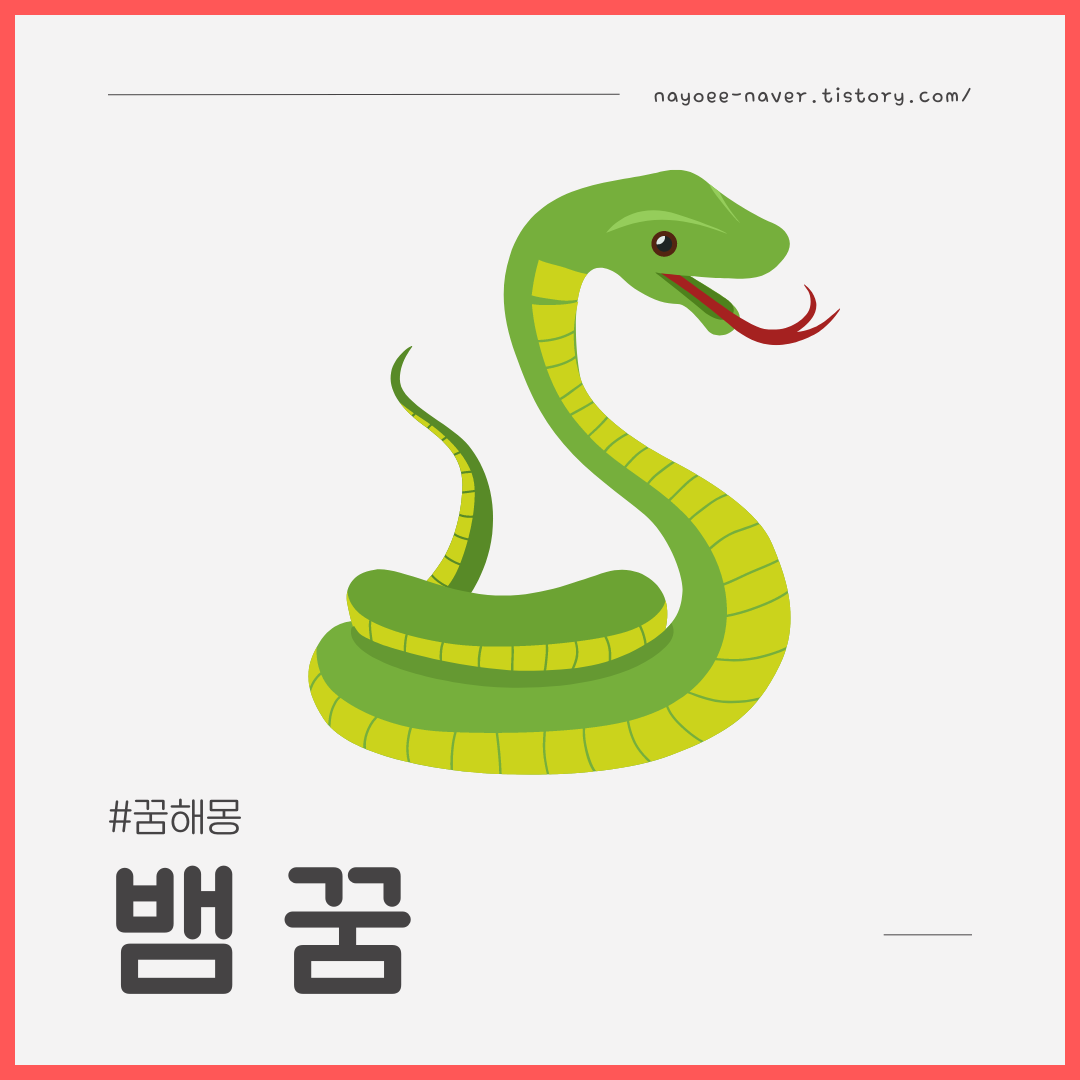 [뱀] 꿈해몽 /뱀꿈 구렁이꿈 / 뱀에 물리는 꿈 /뱀이 쫓아오는 꿈 /뱀을 죽이는 꿈