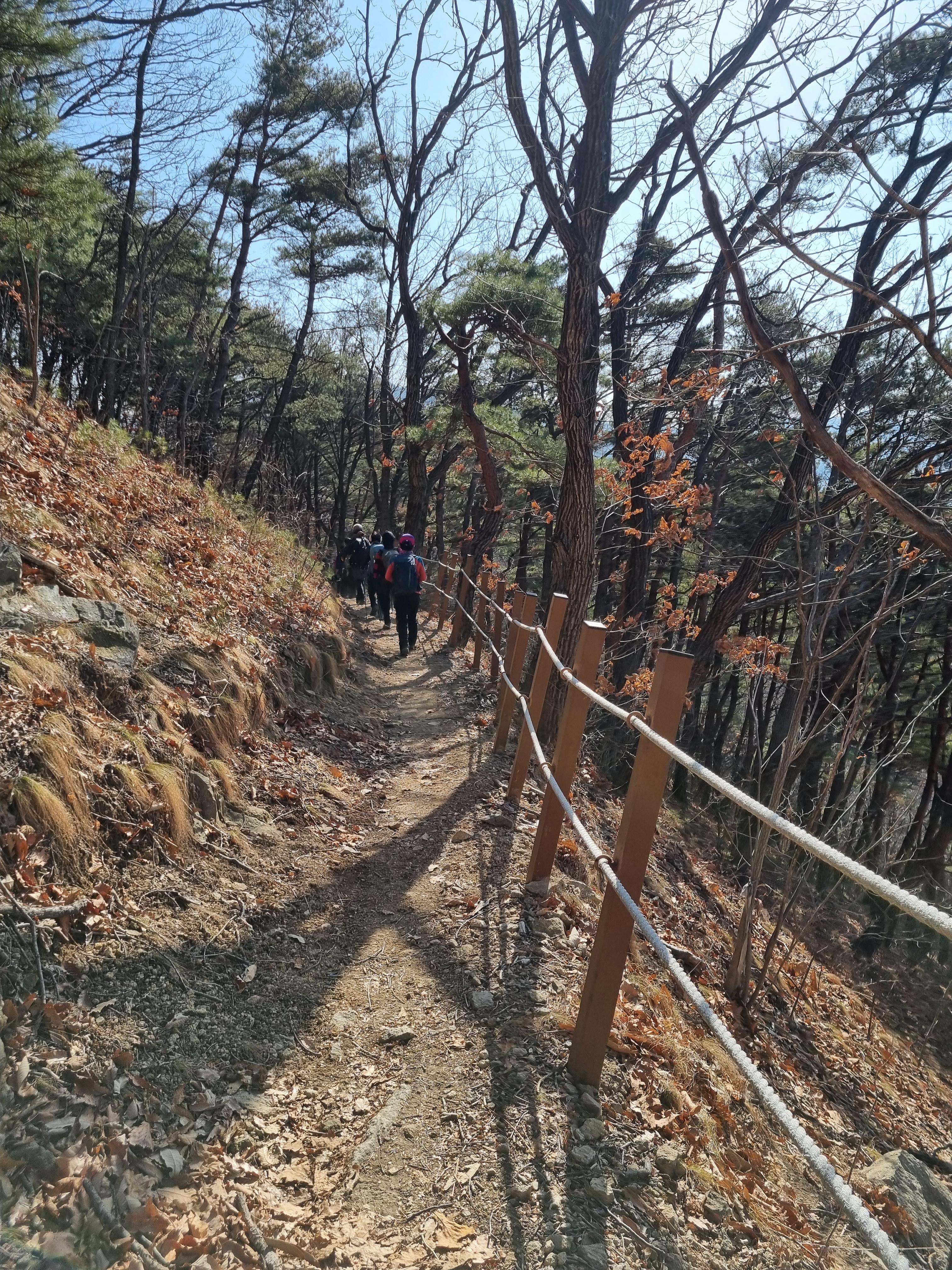 솔밭정 이미지