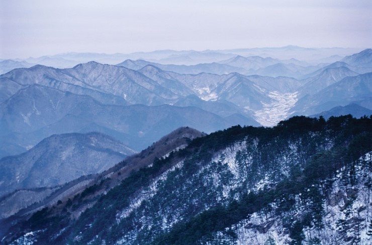 푸른 풍경을 보여주는 산 사진12