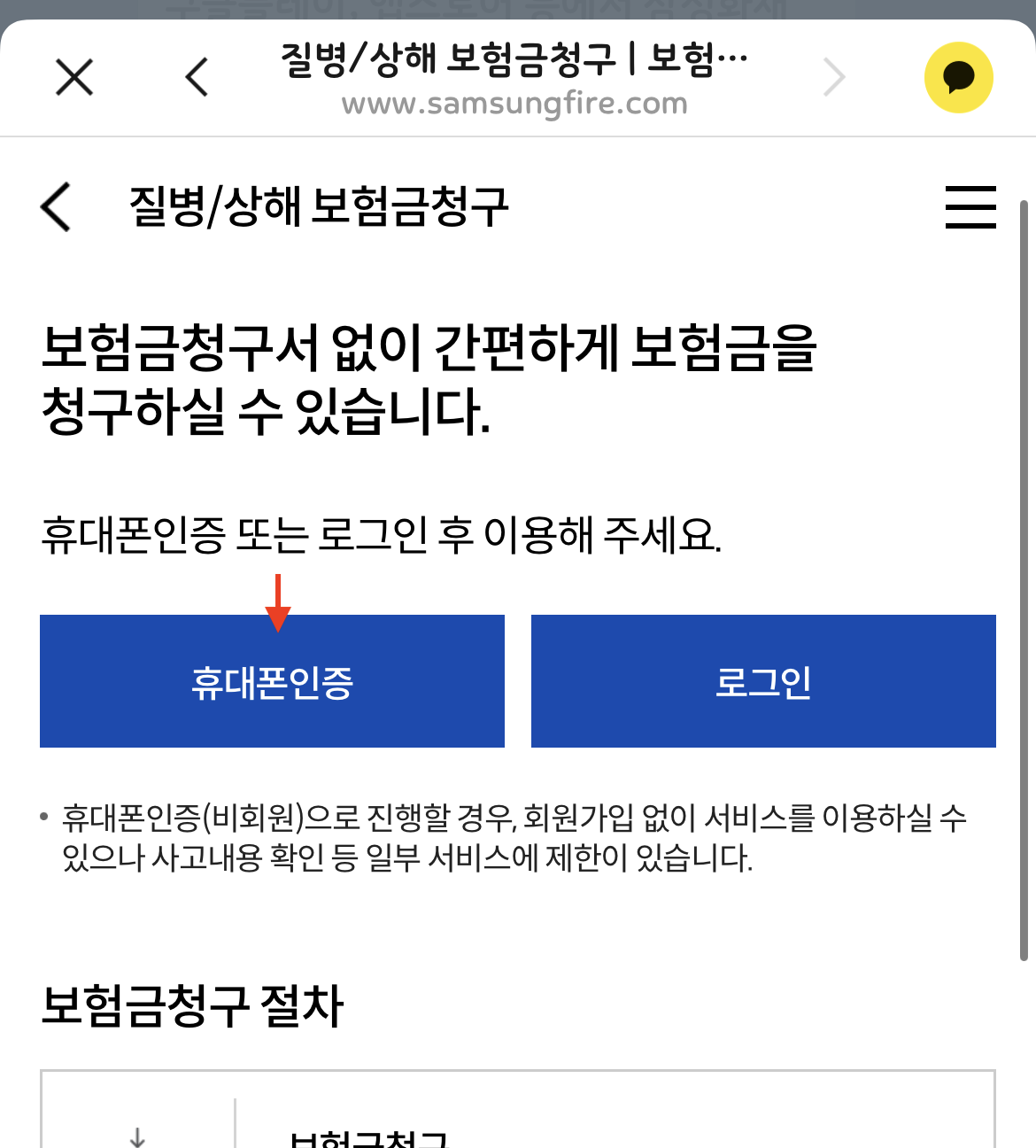 제로이드 실비