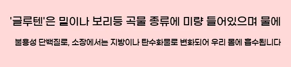  '글루텐'은 밀이나 보리등 곡물 종류에 미량 들어있으며 물에 불용성 단백질로, 소장에서는 지방이나 탄수화물로 변화되어 우리 몸에 흡수됩니다