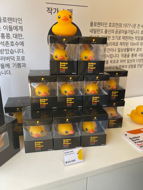 라이트업-러버덕-사진