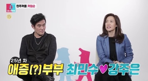  최민수 부인 강주은 이혼 결혼 루머이유