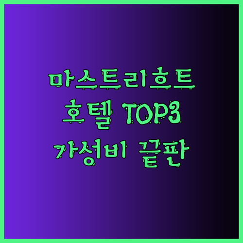 가성비 끝판왕 마스트리흐트 호텔 TO