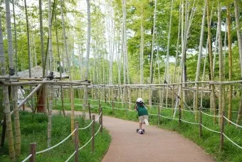 인제 가볼만한곳 베스트10 현지인 추천 필수코스_20