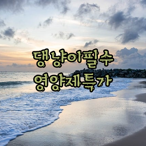 🐶🐱 우리 댕냥이도 건강하게! 펫카소