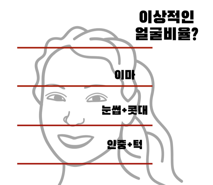 얼굴 비율