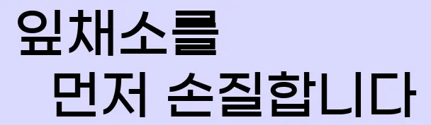  2. 잎채소를 먼저 손질합니다.