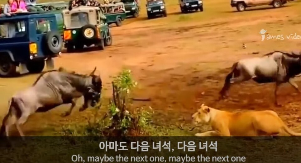  성공한 사람들의 공통점(feat.댄페냐)