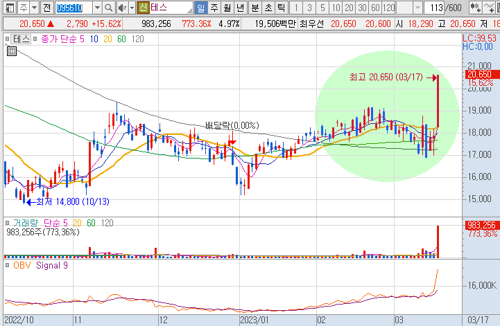 테스-주가-흐름-차트