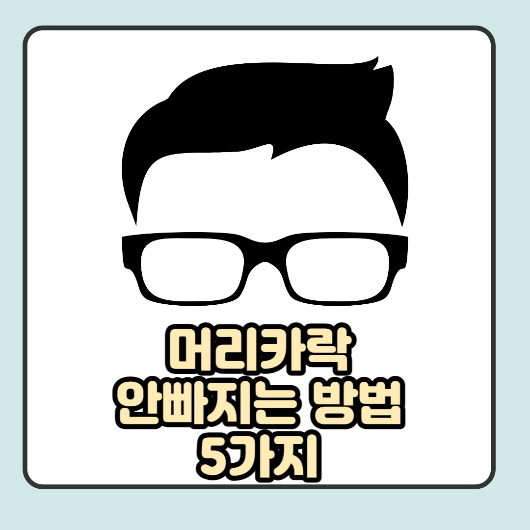 머리카락 안빠지는 방법
