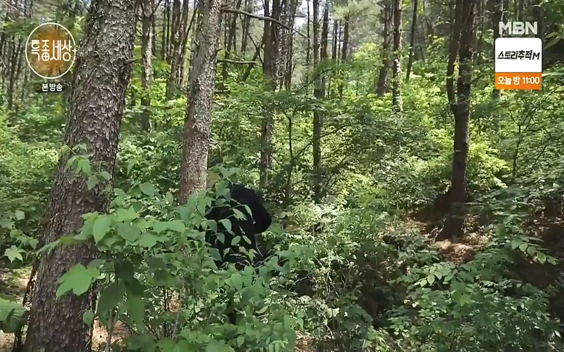 현장르포 특종세상.E533.220603p-NEXT.mp4_20220603_204351.980.jpg