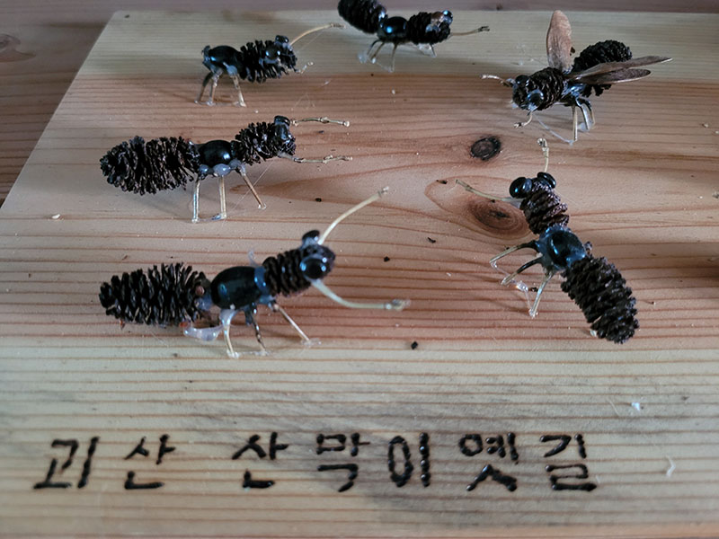 산골산내음 이미지