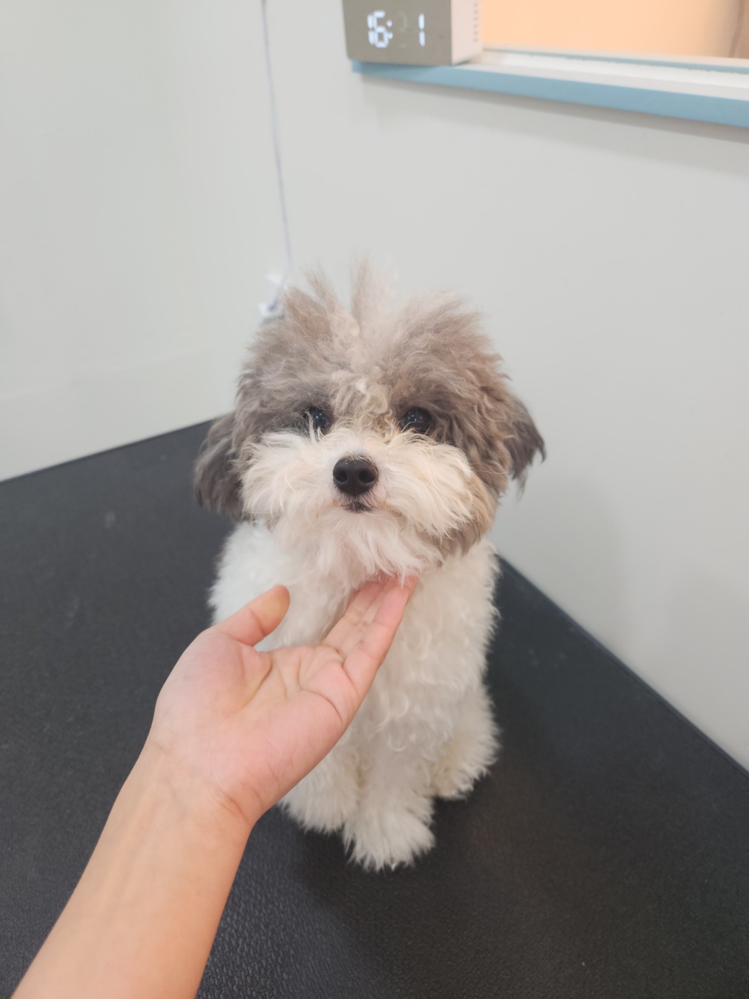 호야미용실 이미지