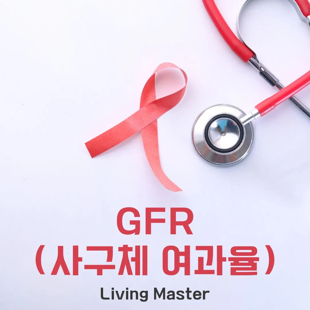 GFR(사구체 여과율)이란 무엇인가?