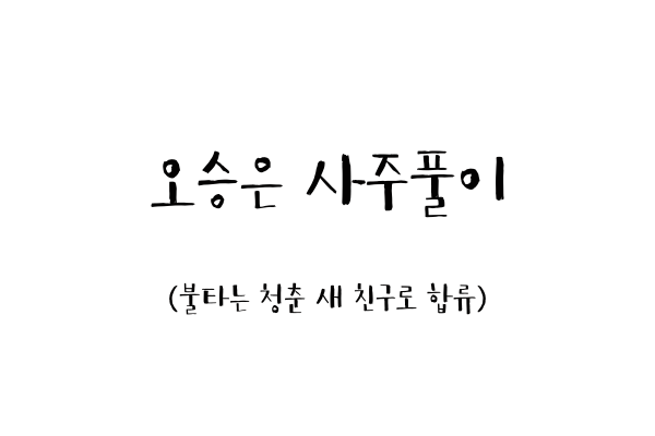  오승은 사주풀이 (불타는 청춘 새 친구로 합류)