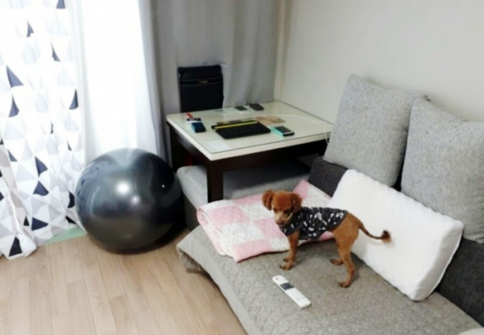 : 구조변경 완성! 24평 아파트 거실 장식 1