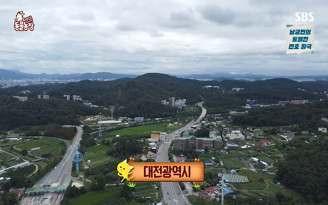 TV 동물농장.E1087.220919p-NEXT.mp4_20220918_180229.742.jpg