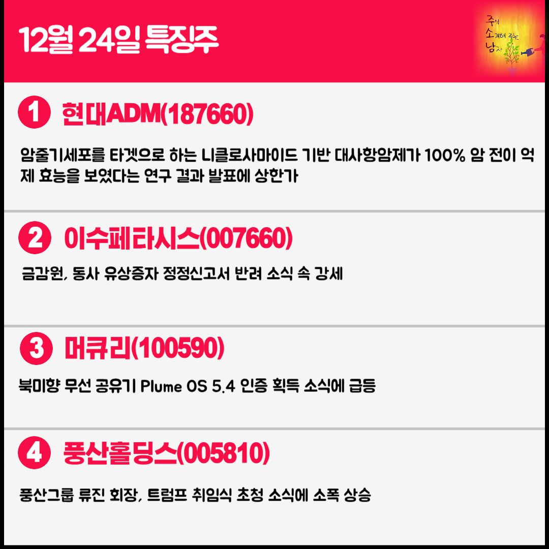 12월 24일 오늘의 특징주