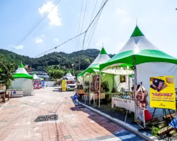강주 해바라기 축제_21