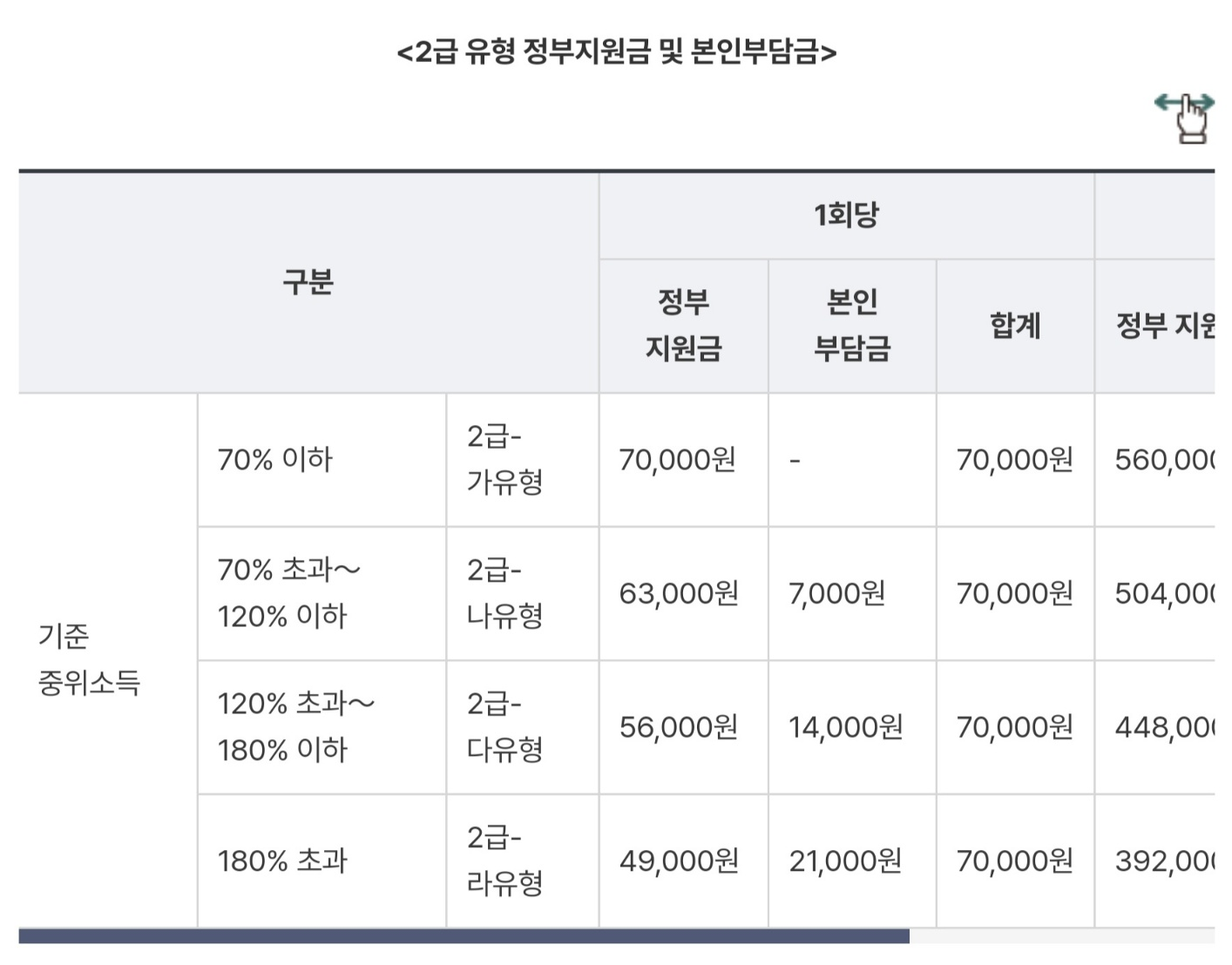 2급 유형 정부지원금 및 본인부담금