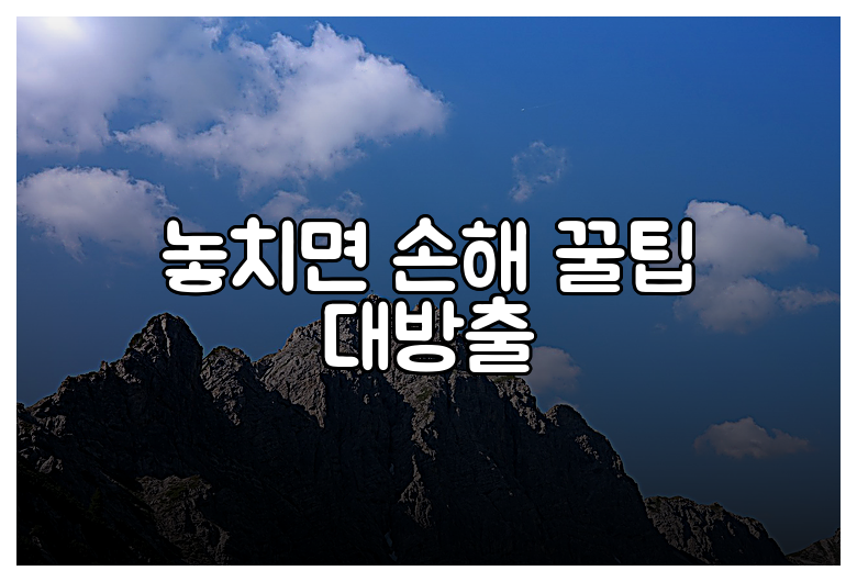 놓치면 손해 꿀팁 대방출