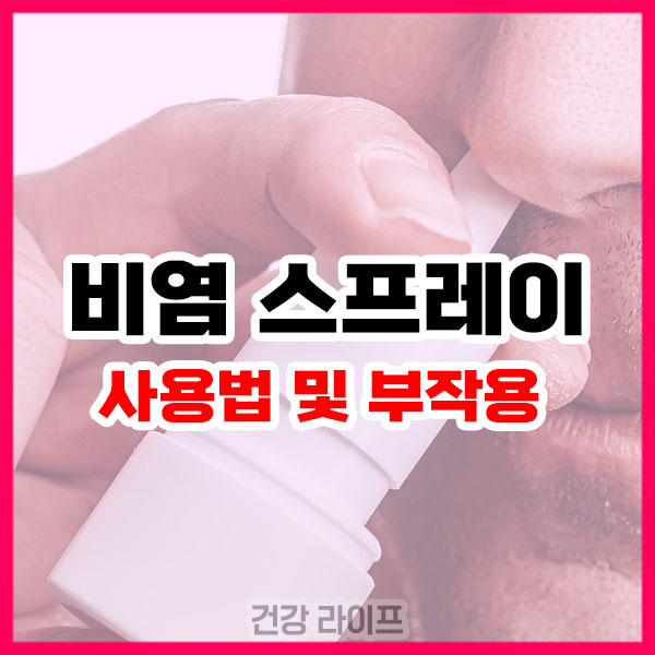 비염 스프레이