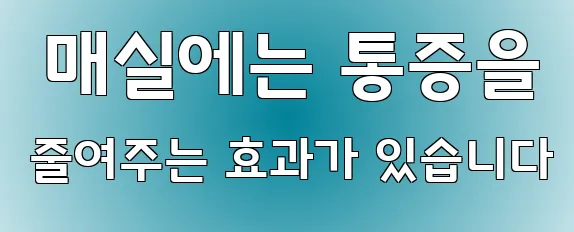  매실에는 통증을 줄여주는 효과가 있습니다